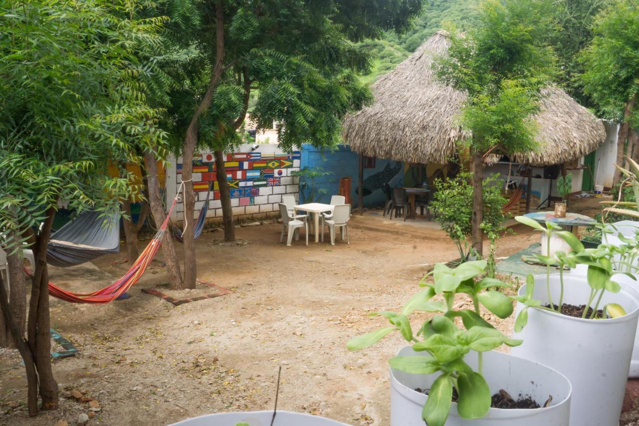 Hostel Hipilandia Taganga Exterior photo
